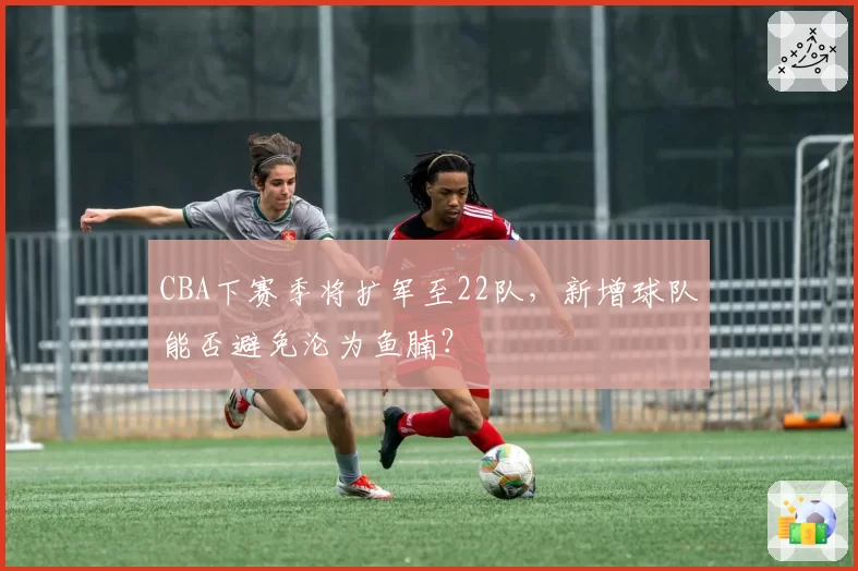 CBA下赛季将扩军至22队，新增球队能否避免沦为鱼腩？