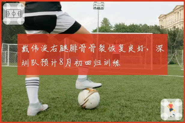 戴伟浚右腿腓骨骨裂恢复良好，深圳队预计8月初回归训练