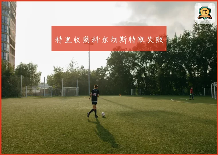 特里收购科尔切斯特联失败